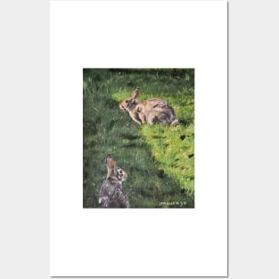 Bunnies in the Grass Posters and Art